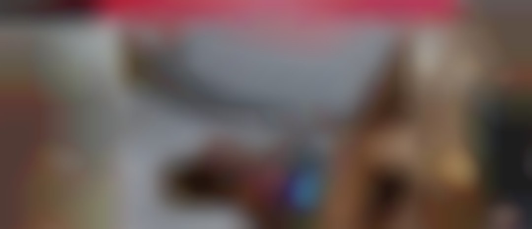 alejandraazucar, content creator on Telegram