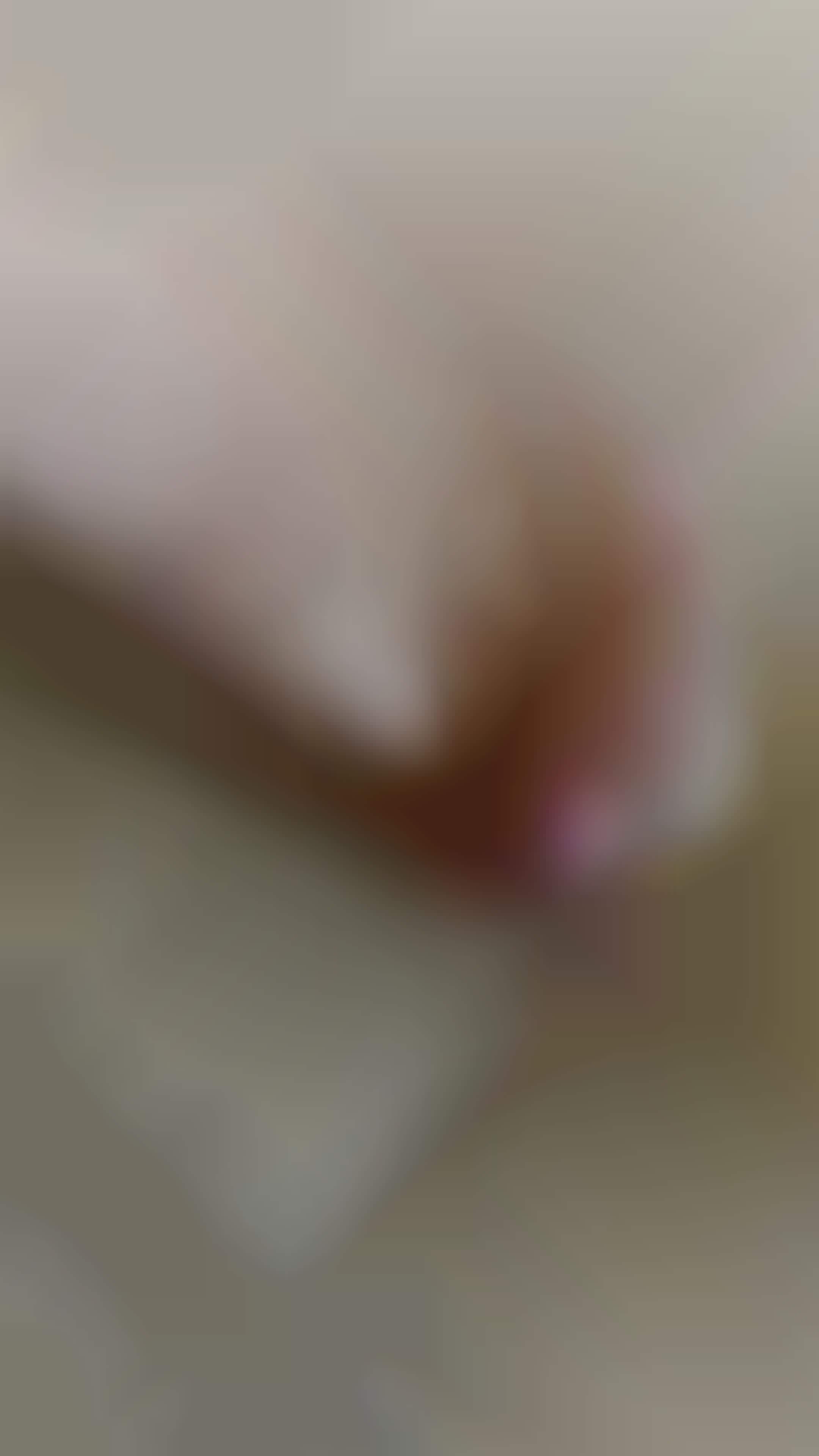 Cecilia_sopena, content creator on Telegram